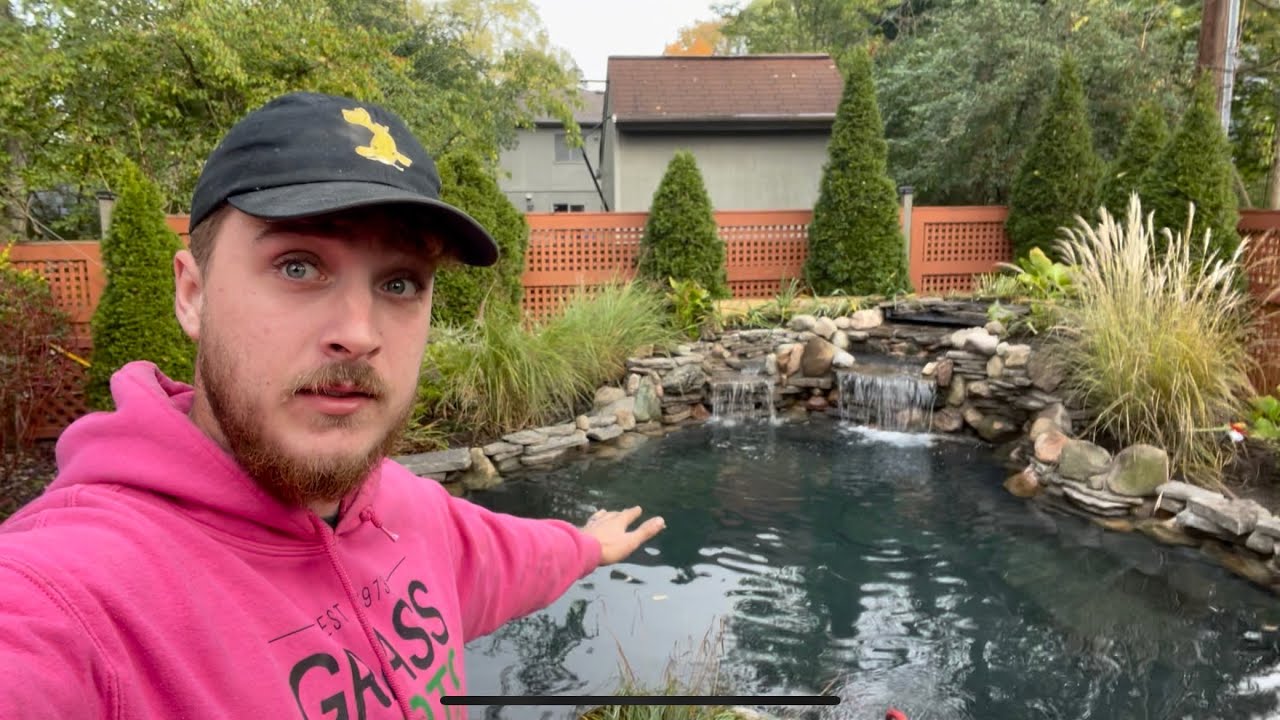 BIG Koi Pond Build