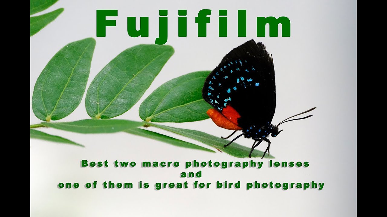 Fujifilm best two macro lenses