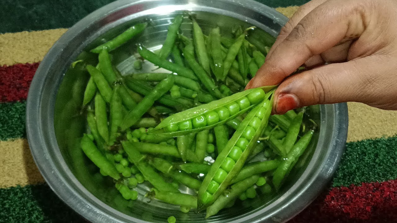 बिना हाथ लगाए मटर छीलने का बिल्कुल नया तरीका ,1 मिनट में 1 किलो मटर कैसे छिले 1साल के लिए मटर स्टोर 