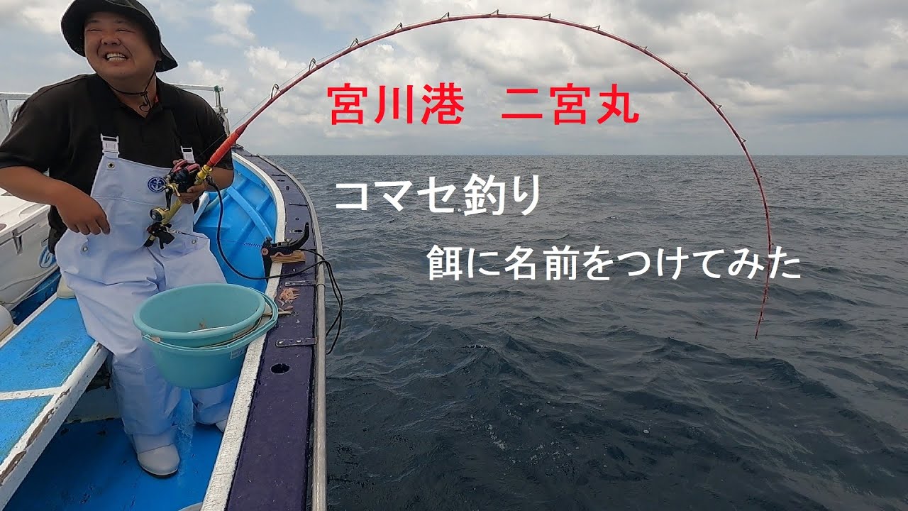 コマセ真鯛釣り大鯛ラッシュ‼餌に名前つけてみた宮川港 二宮丸 【コマセ真鯛釣り】