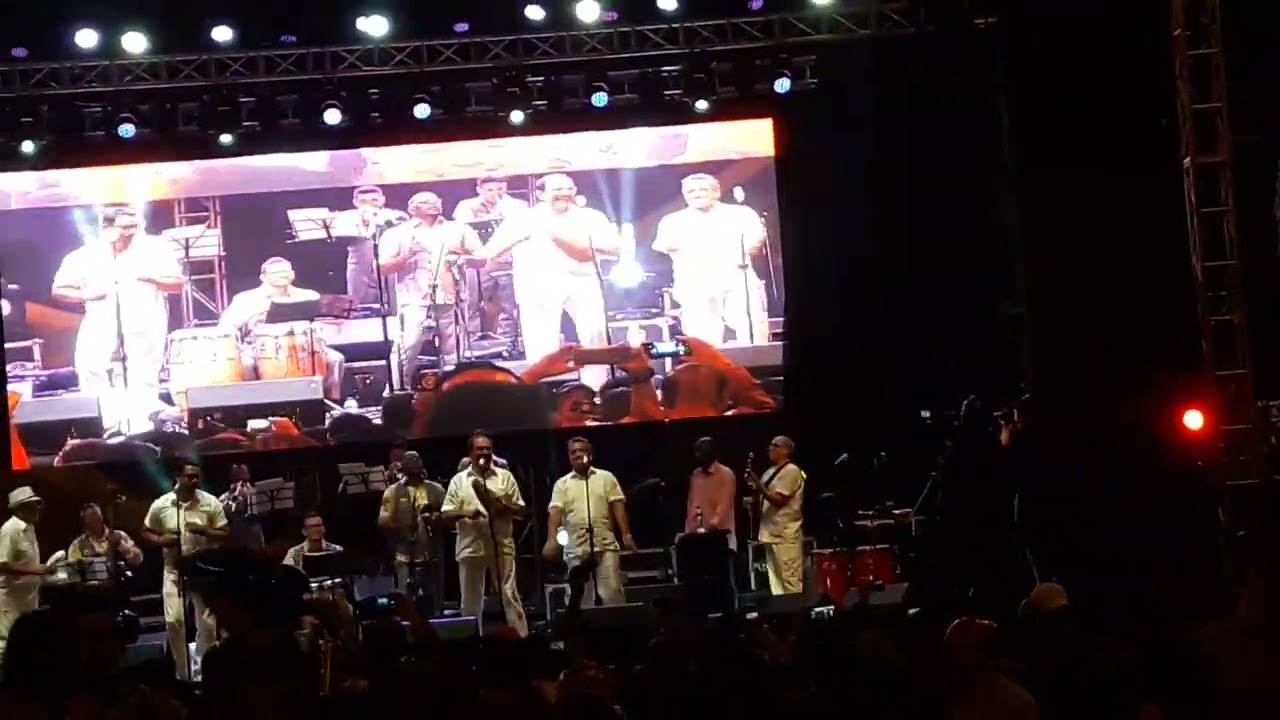 SEÑORA LEY Conjunto Clasico