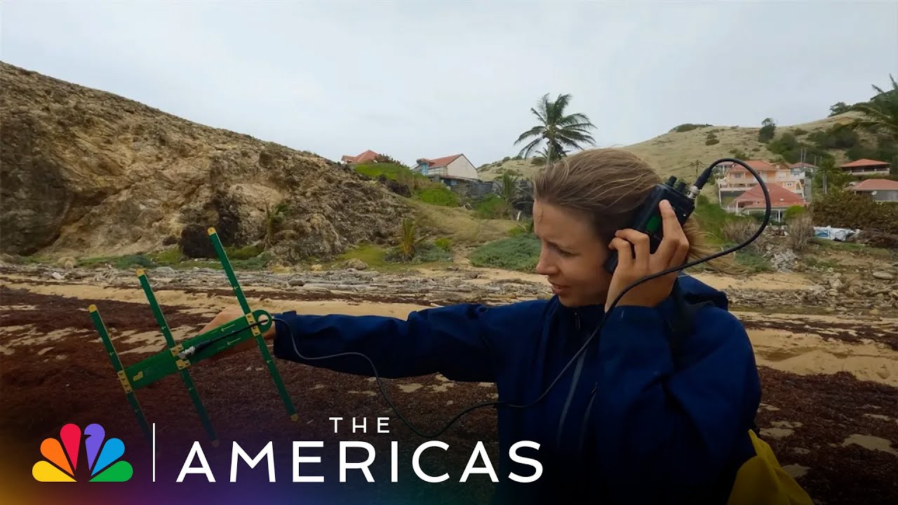 Deploying a Camera onto a Sperm Whale | The Making of The Americas | NBC