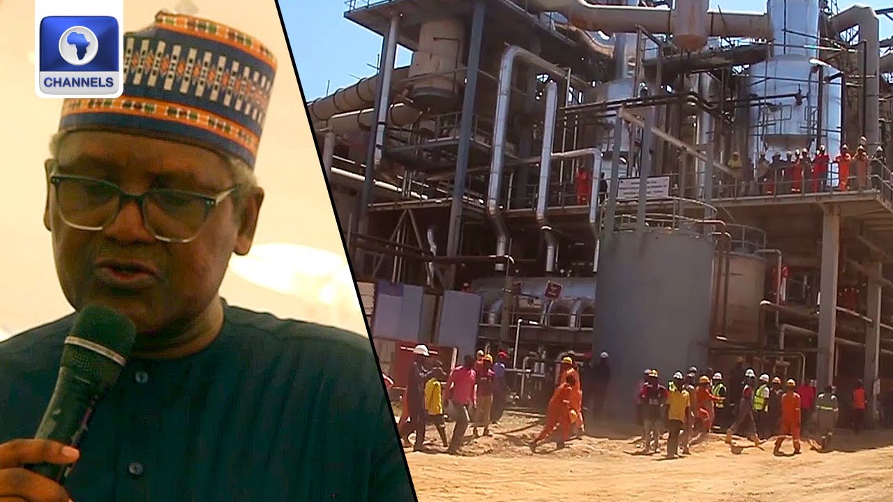 Dangote To Expand Sugar Production In Adamawa