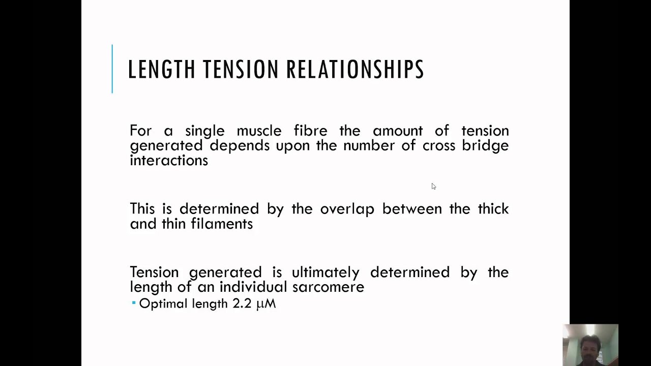 Biophysical Properties of Muscle Contraction 2015