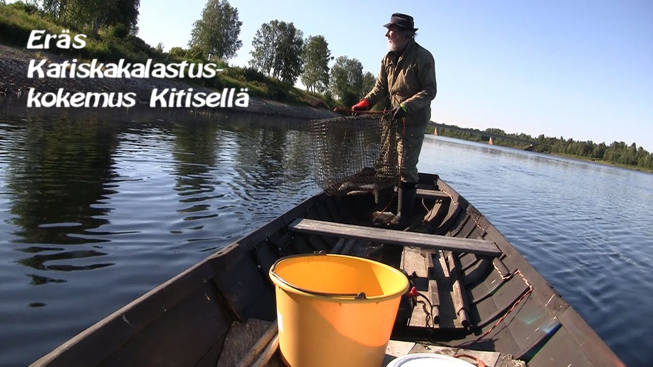 Eräs katiskakalastus kokemus Kitisellä