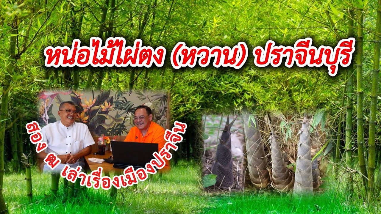 สอง ฒ เล่าเรื่องเมืองปราจีน 