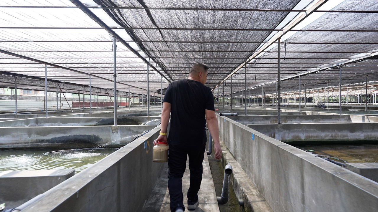 【水族特搜】一生懸命，鼠魚職人之心 - 蔡明龍
