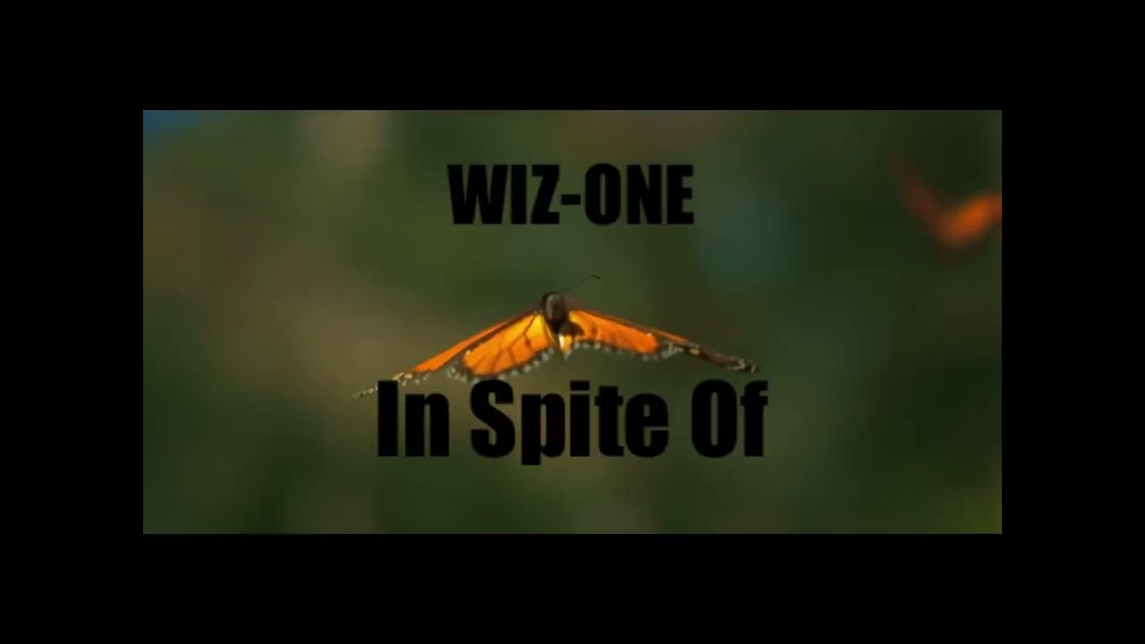 Wiz-One - In Spite Of (visualizer)