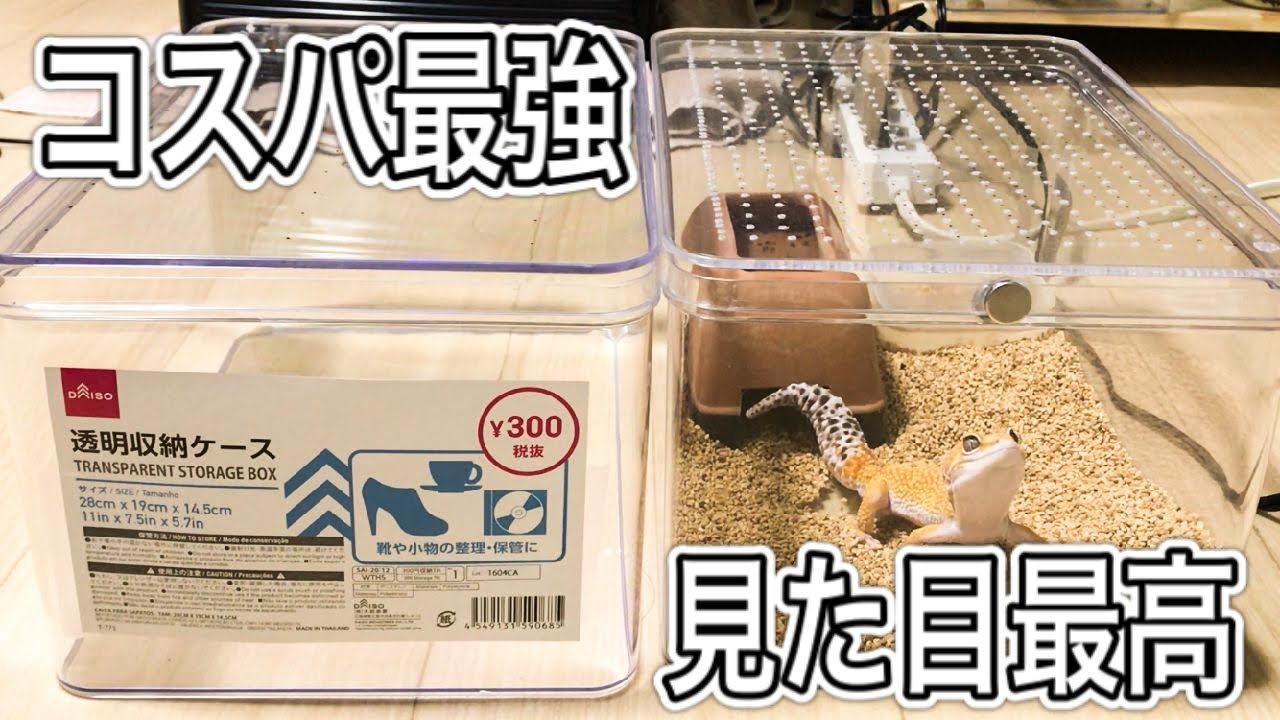 激安レプタイルボックス製作 DIY