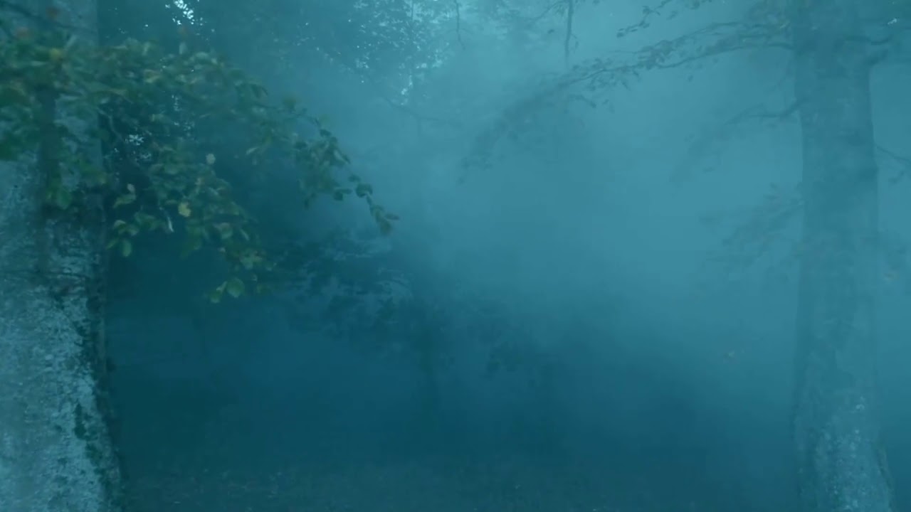 Vikings Staffel 6 : Der Tod von K&ouml;nig Harald Sch&ouml;nhaar