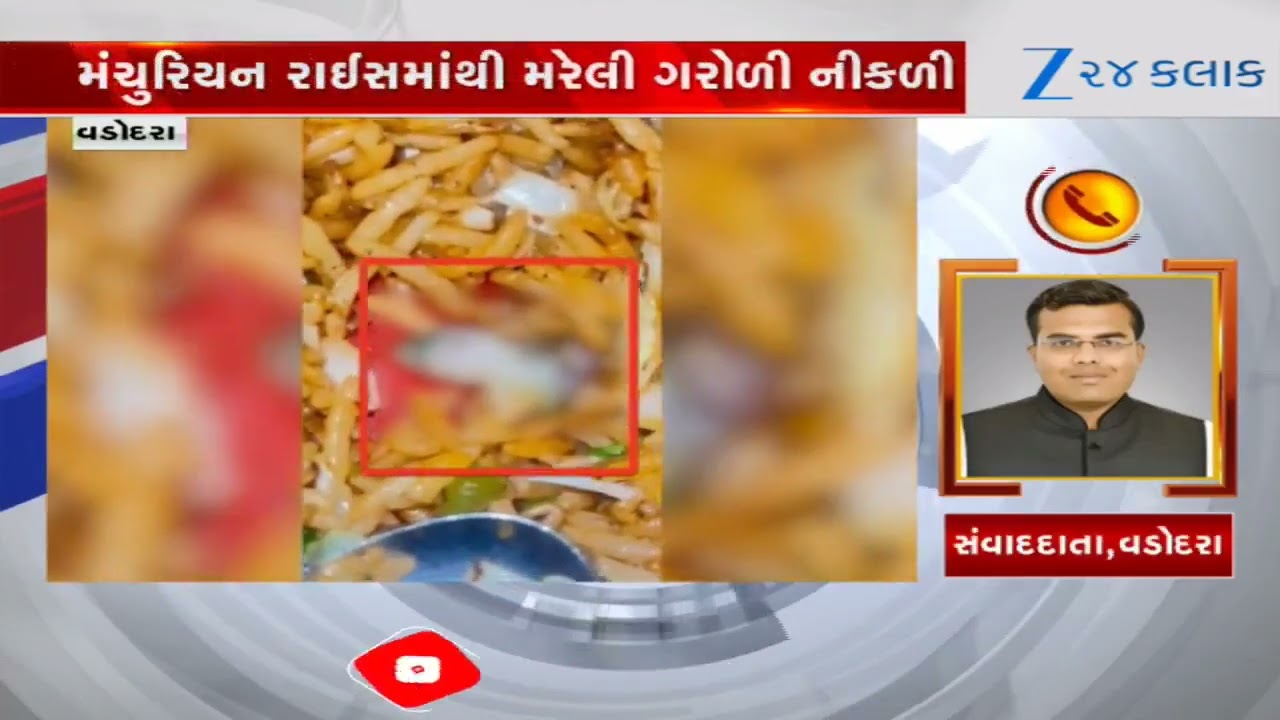Vadodara: Dead Lizard Found in Manchurian Rice at Chhani Fast Food Stall; Youth Share Viral Video