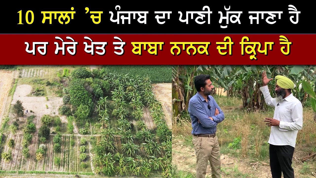 ਬਾਬਾ ਨਾਨਕ ਦੇ ਹੁਕਮਾਂ ਅਨੁਸਾਰ ਖੇਤੀ ਕਰਨ ਵਾਲਾ ਕਿਸਾਨ