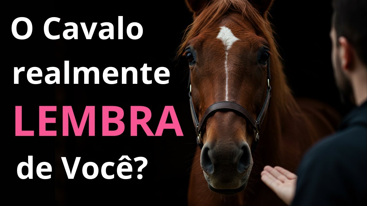 Os Cavalos RECONHECEM Seus DONOS? A Verdade Surpreendente que Ninguém Te Contou!