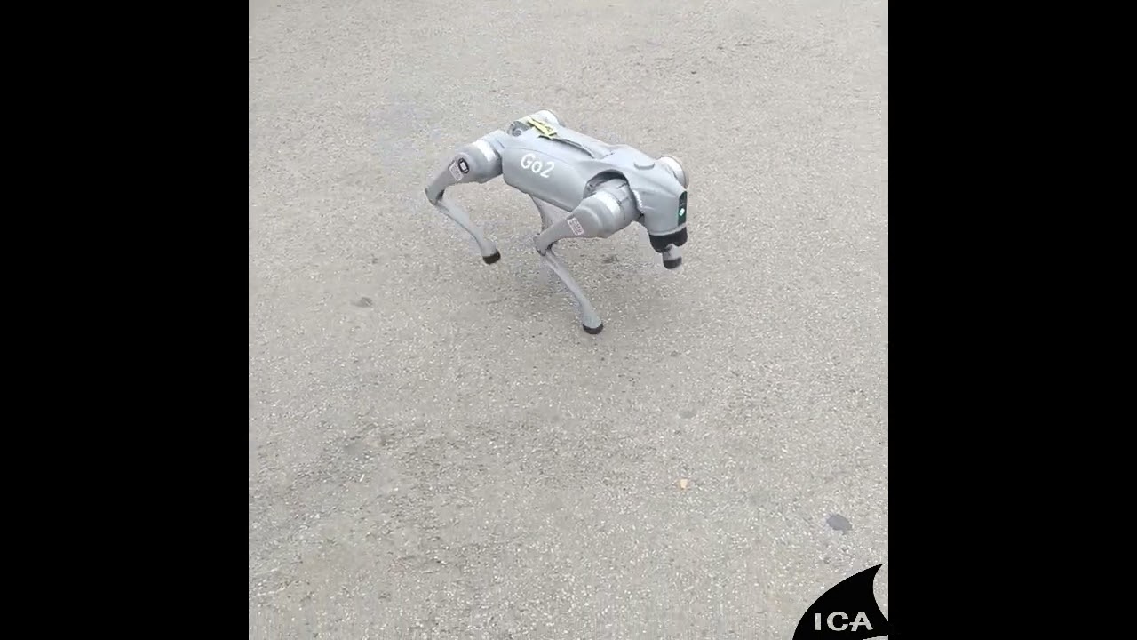 robothond