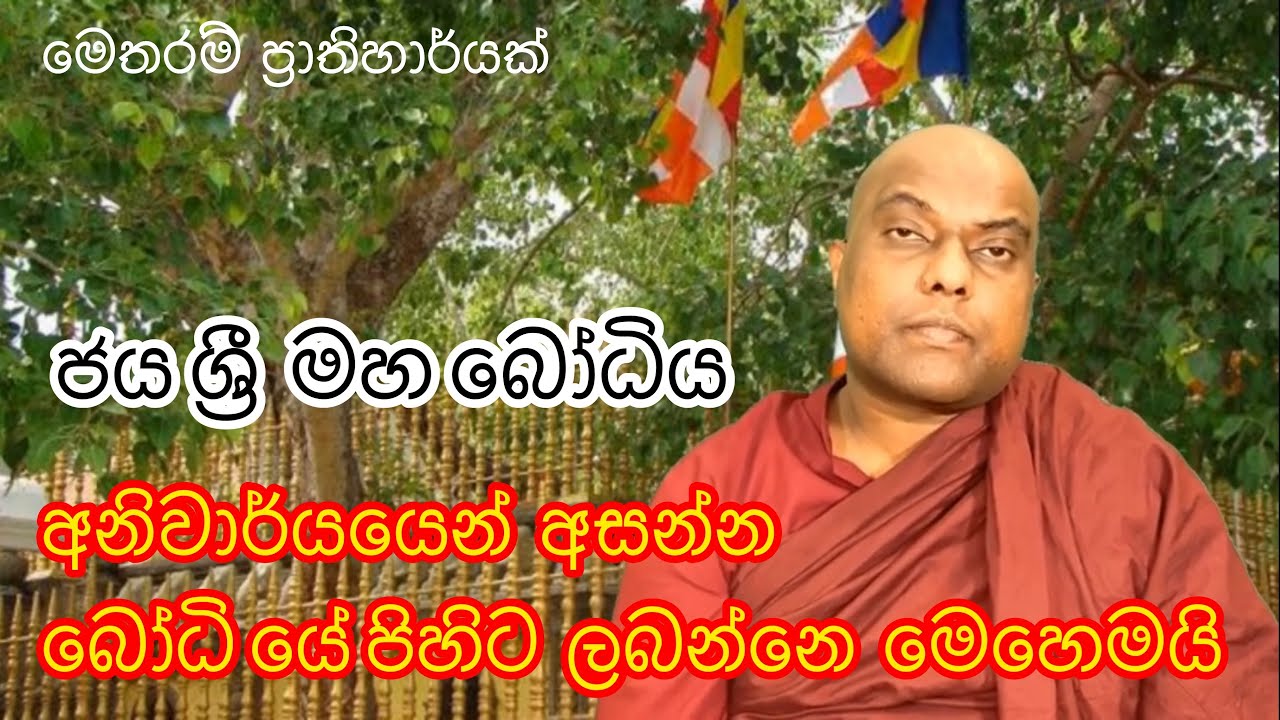 හිත පහදින අප්‍රමාණ පිං වැඩෙන ජයශ්‍රී මහා බෝධි විස්තරය - Buddhist - Galigamuwe Gnanadeepa thero