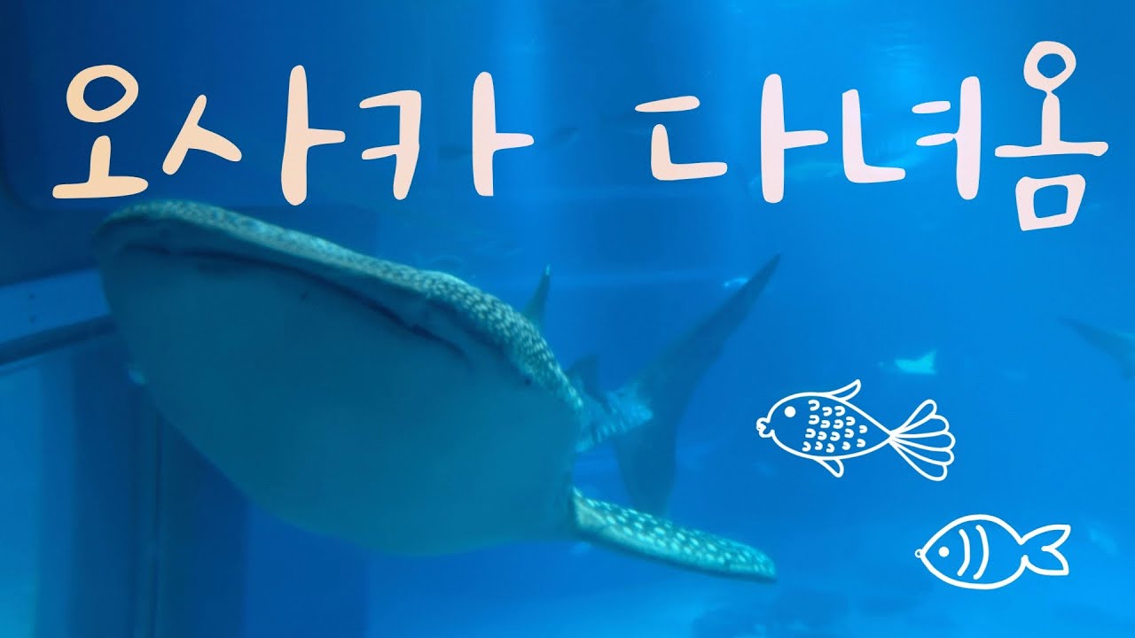 대관람차 타고 죽을뻔한 오사카여행