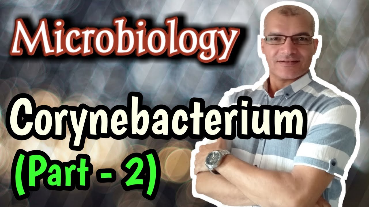 Corynebacterium diphtheriae: Lab Diagnosis, Treatment, and Prophylaxis