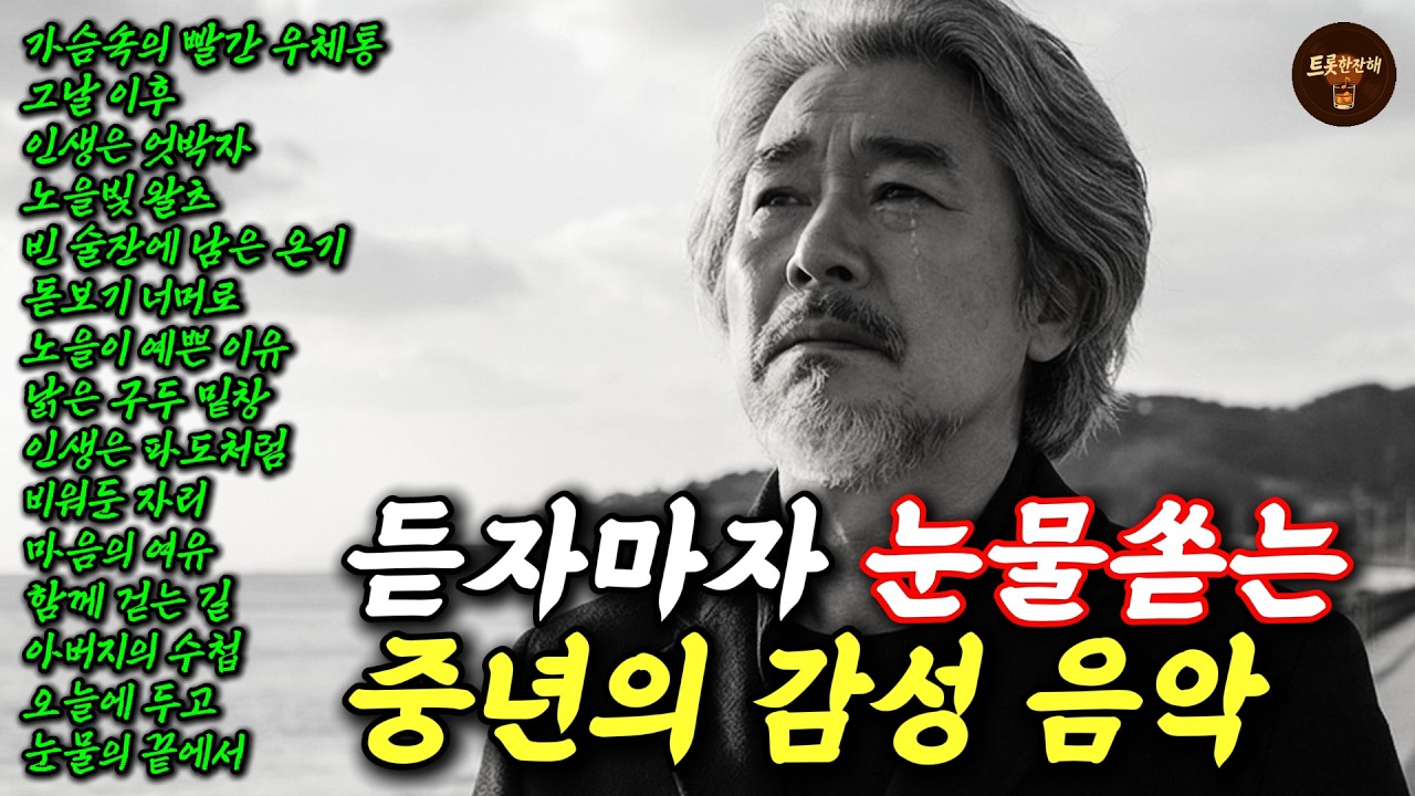 첫 소절 듣자마자 눈물 나는 중년 인생 노래｜마음을 울리는 인생 노래 모음