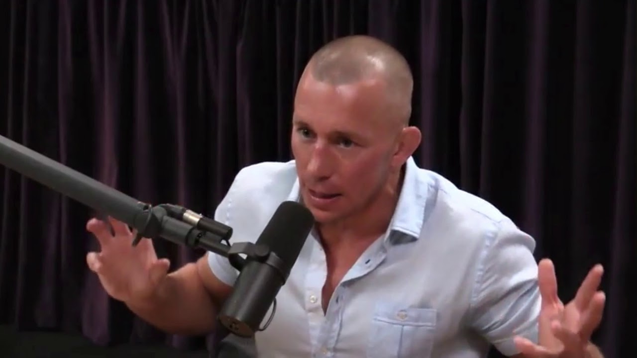 Joe Rogan - GSP Praises Demetrious 