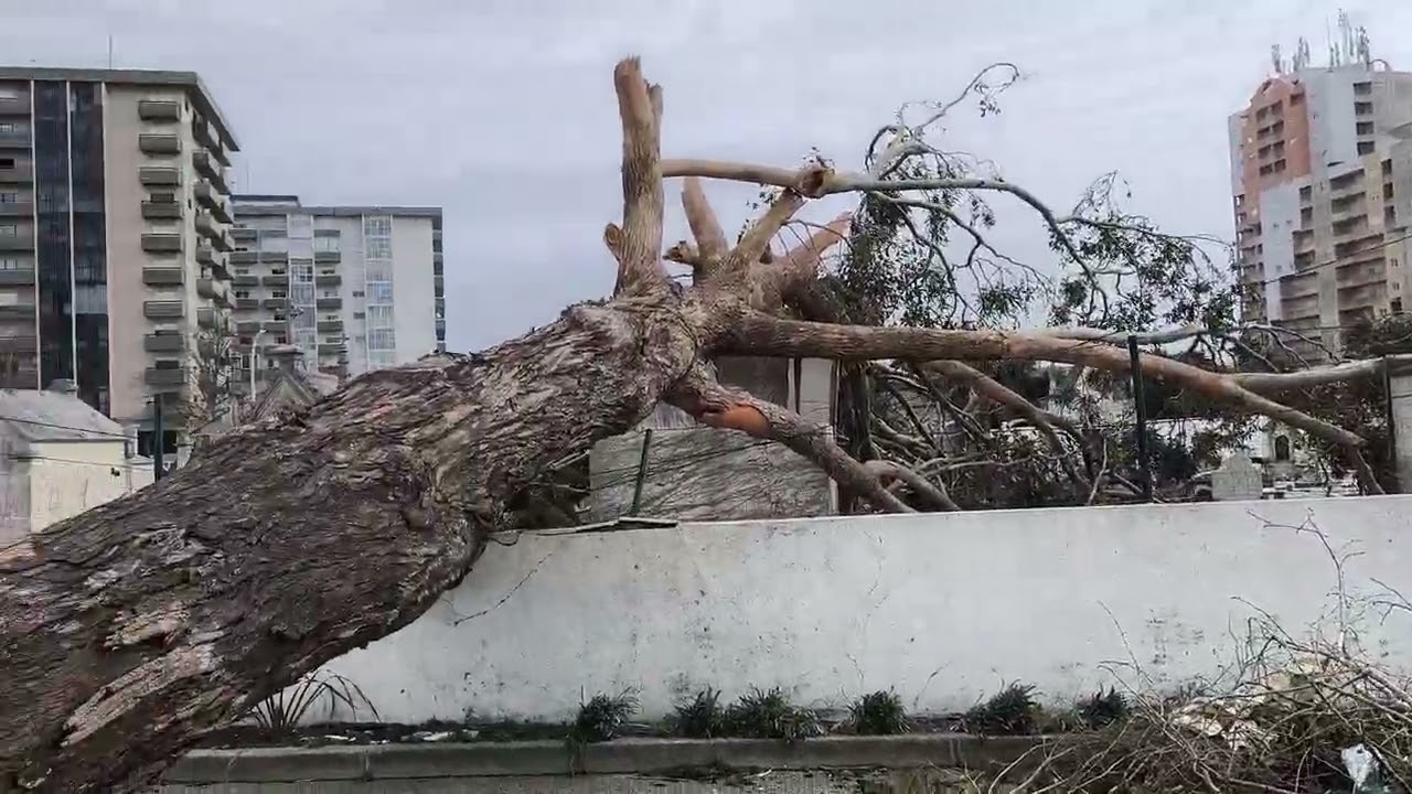 TEMPESTADE Kristin - MARINHA GRANDE - 28 de Janeiro 2026