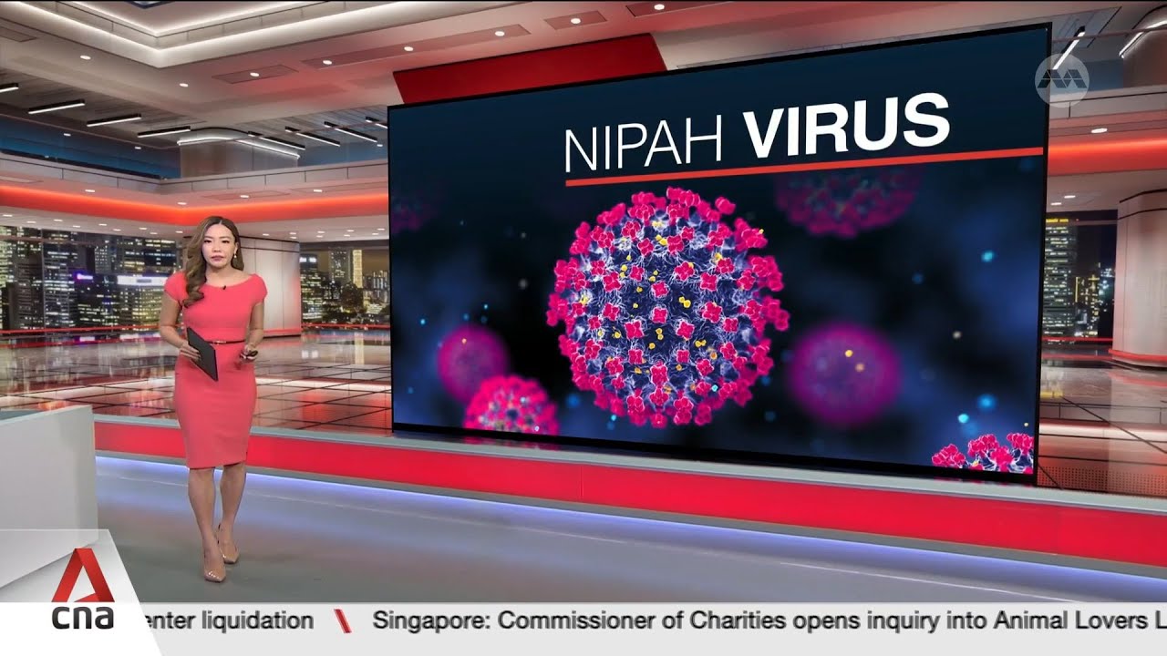 Singapore's Changi Airport to screen travellers from affected areas amid Nipah outbreak in India