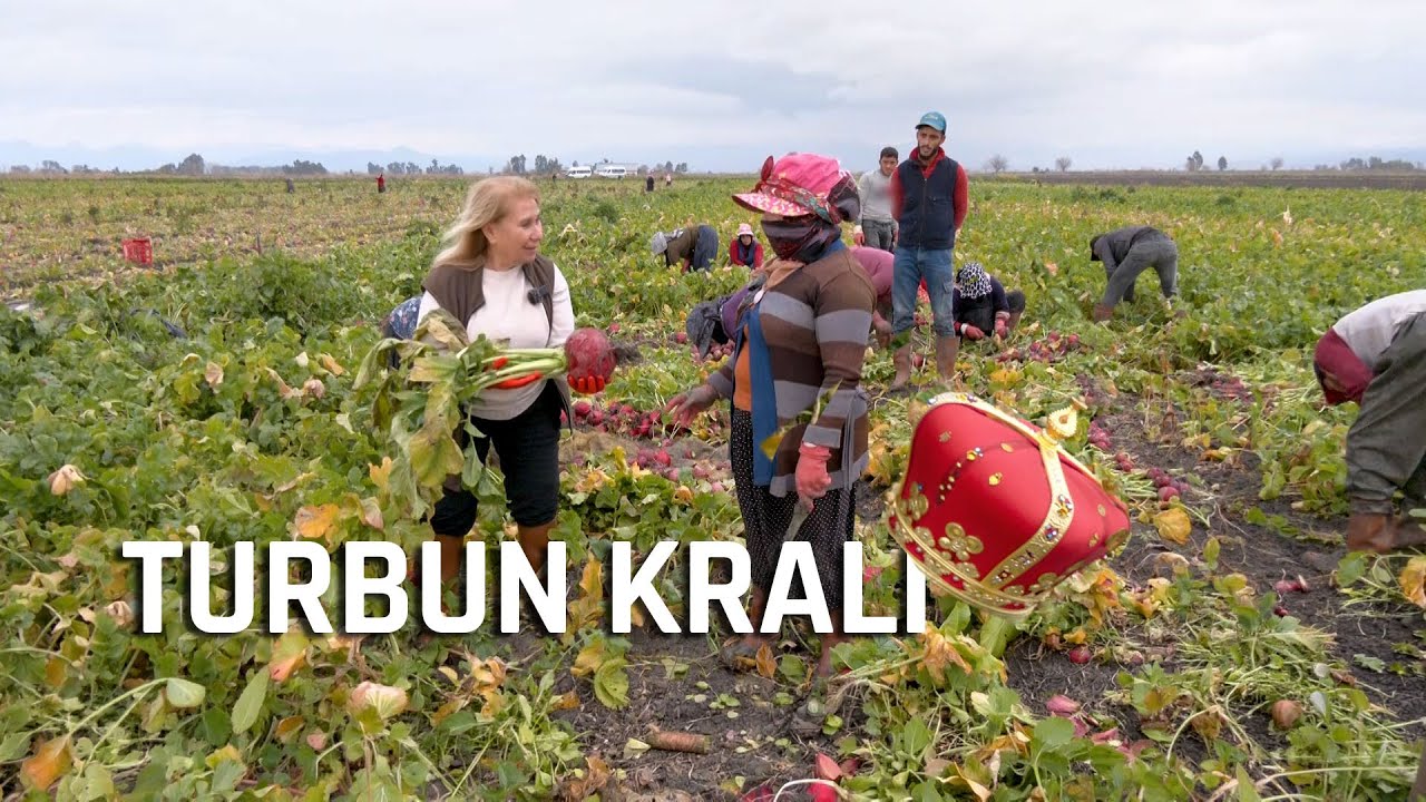 Kadınların Elinden 