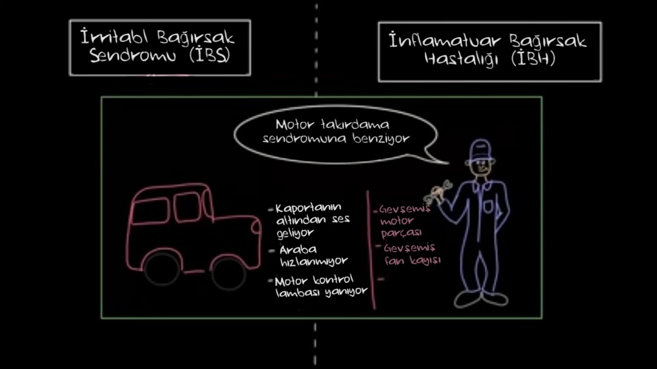 İnflamatuar Bağırsak Hastalığı ve İrritabl Bağırsak Sendromu (Fen Bilimleri) (Sağlık ve Tıp)