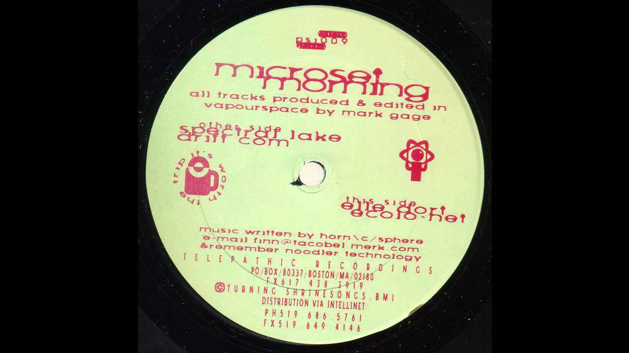 Mark Gage - Ecolo-Net (Acid Trance 1993)