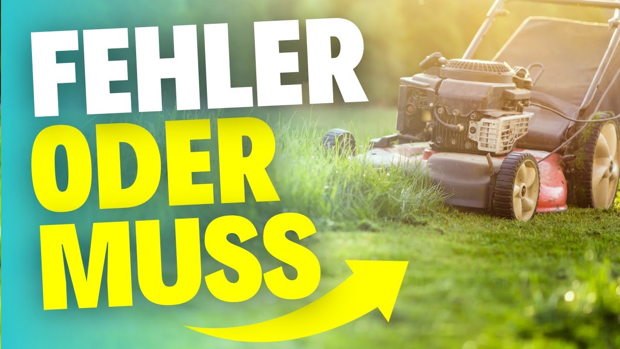 Ist Rasenm&auml;hen im November sinnvoll? Das solltest du wissen!