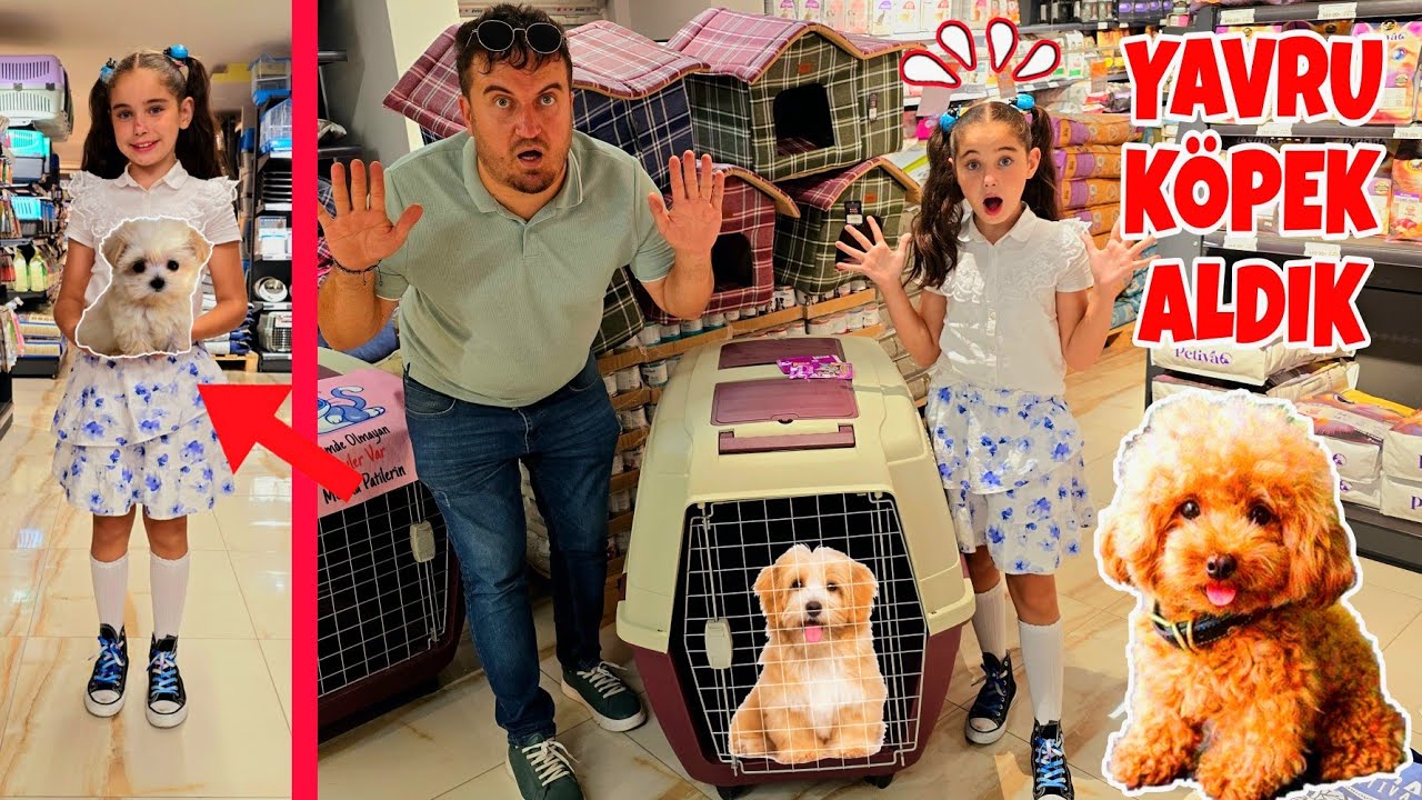 EVİMİZE YENİ ARKADAŞ YAVRU KÖPEK ALDIK !! ELİF SİNEMİN DİLEĞİ OLDU !!