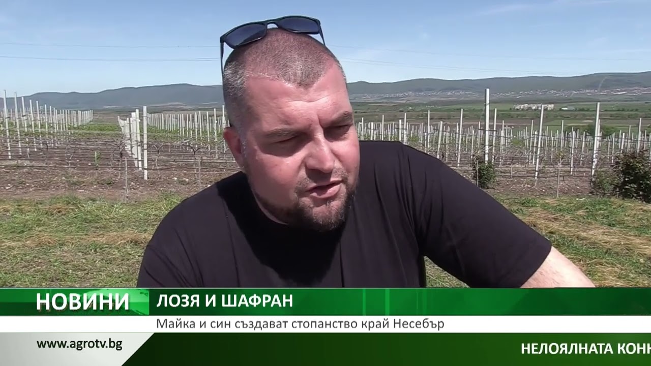 ЛОЗЯ И ШАФРАН: Майка и син създават стопанство край Несебър