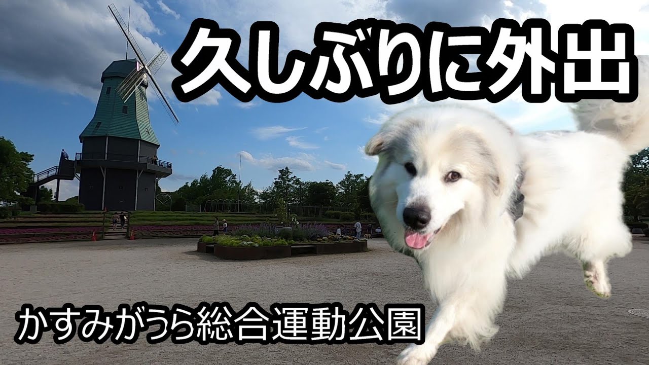 【GPラム】久しぶりにお出かけしました