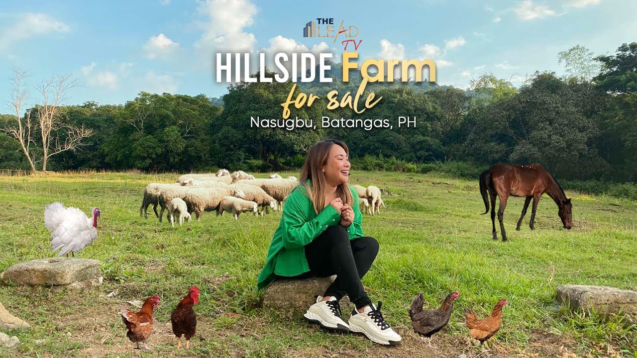 Hillside Farm Property For Sale in Nasugbu Batangas Philippines Farm Tour • The Lead TV Episode 28