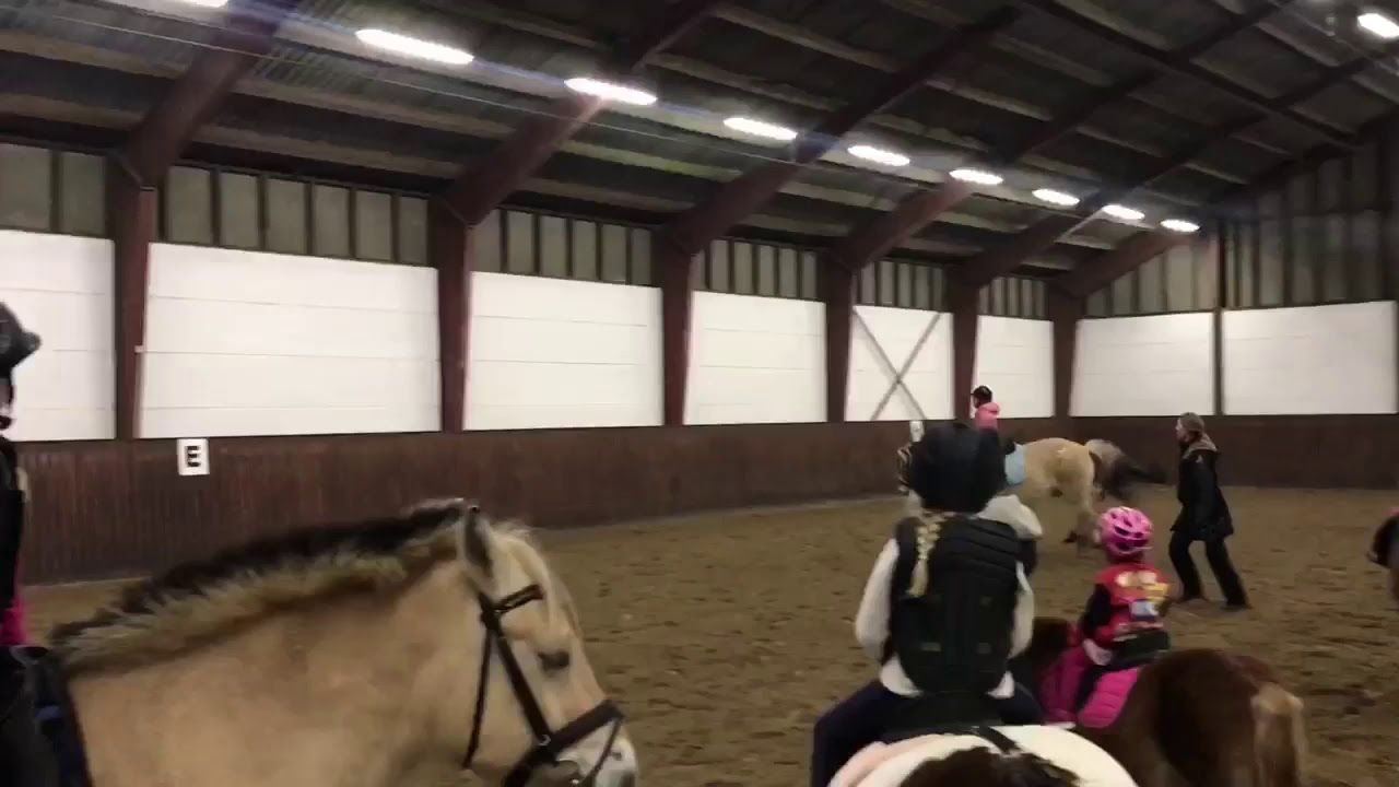 Jeg falde af min hest.