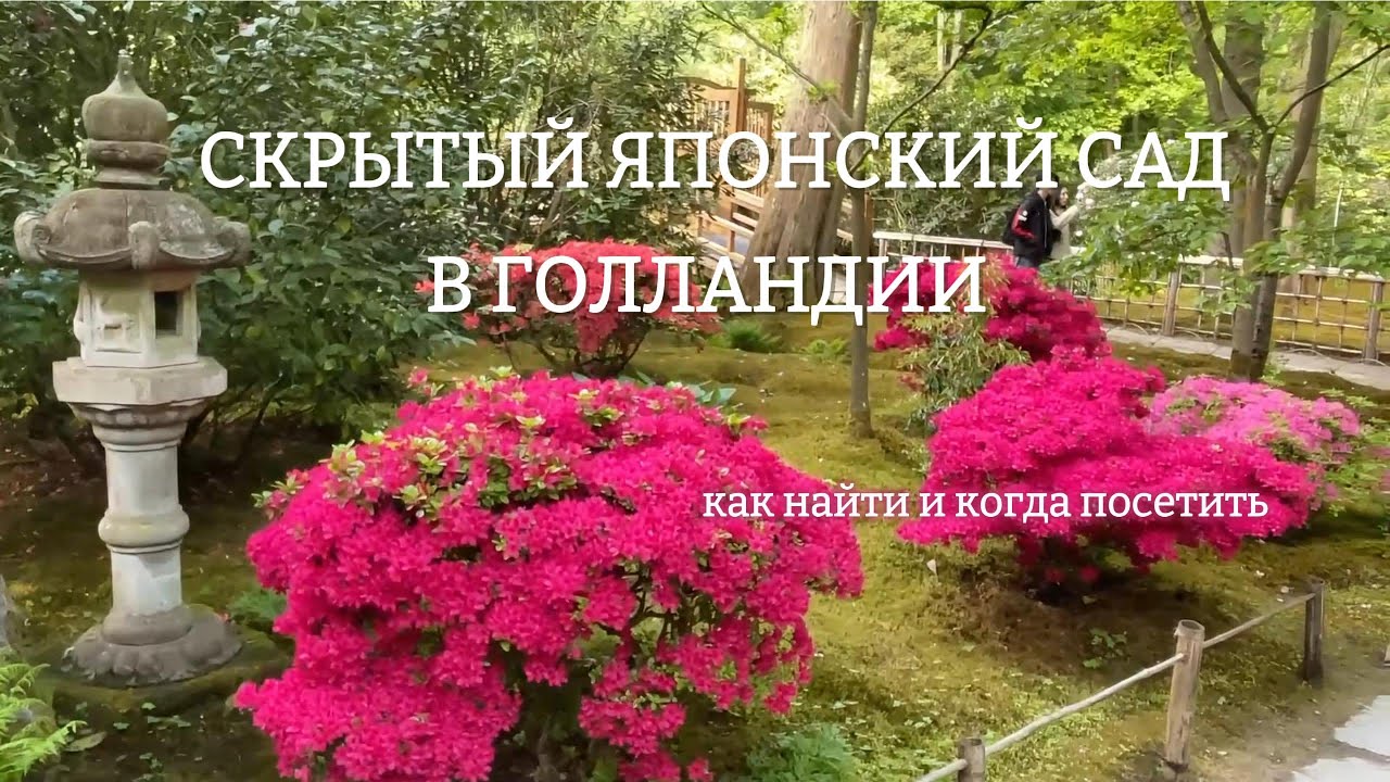 Древний и самый настоящий Японский сад в Голландии!