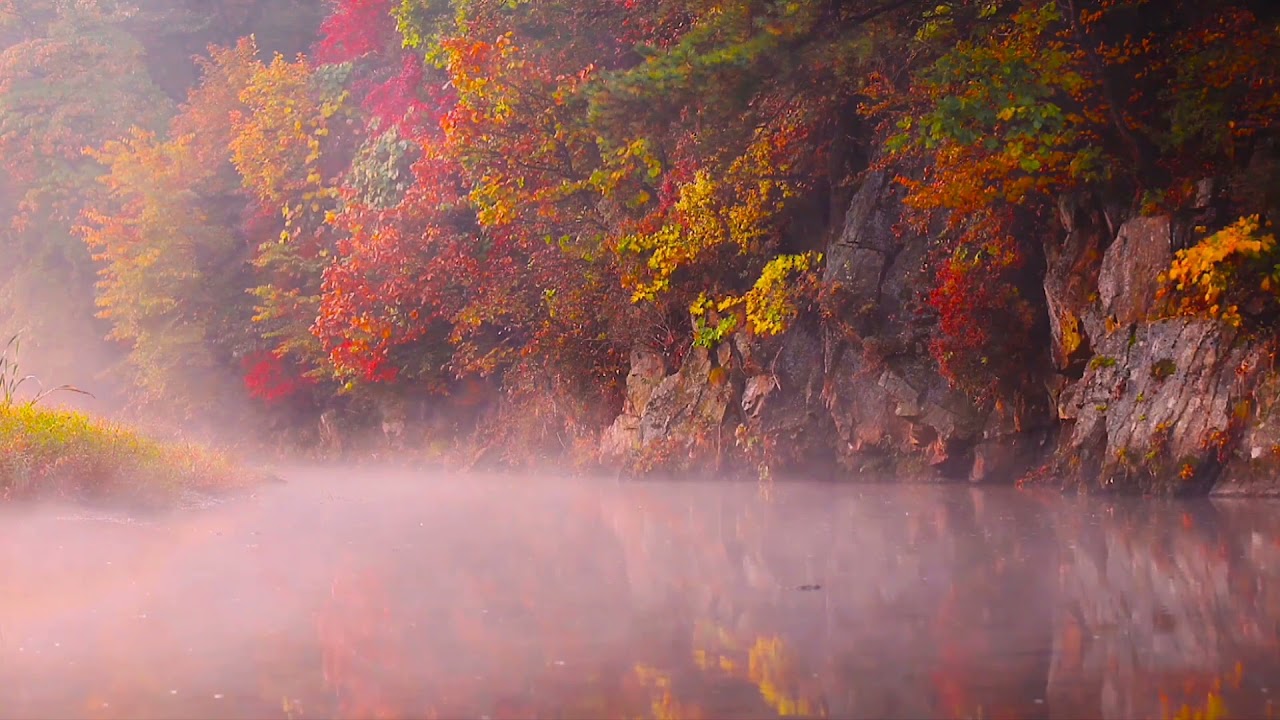 Best Relaxing & Deep Sleeping Music #musicstream #relaxingmusic #deepsleepingmusic #calmmusic