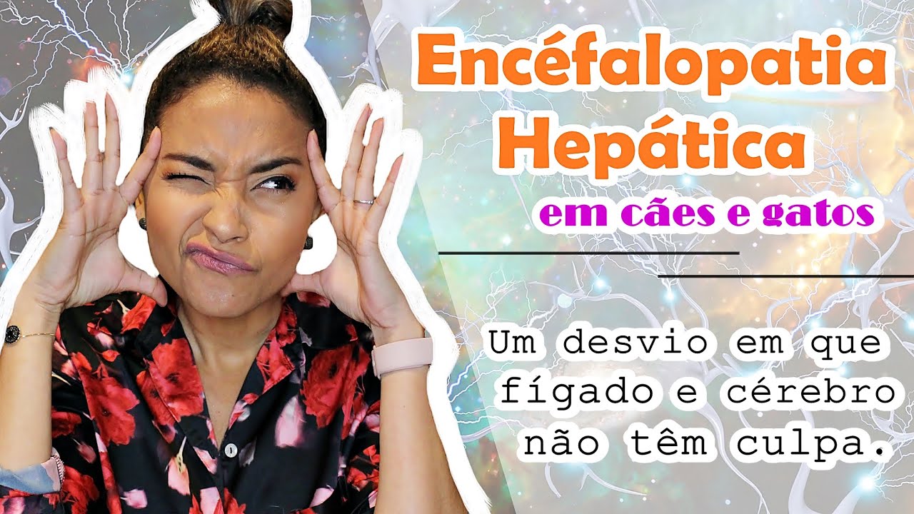 #ENCEFALOPATIA #HEPÁTICA EM CÃES E GATOS.