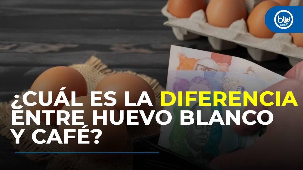 ¿Por qué bajó el precio del huevo? Fenavi explica las razones