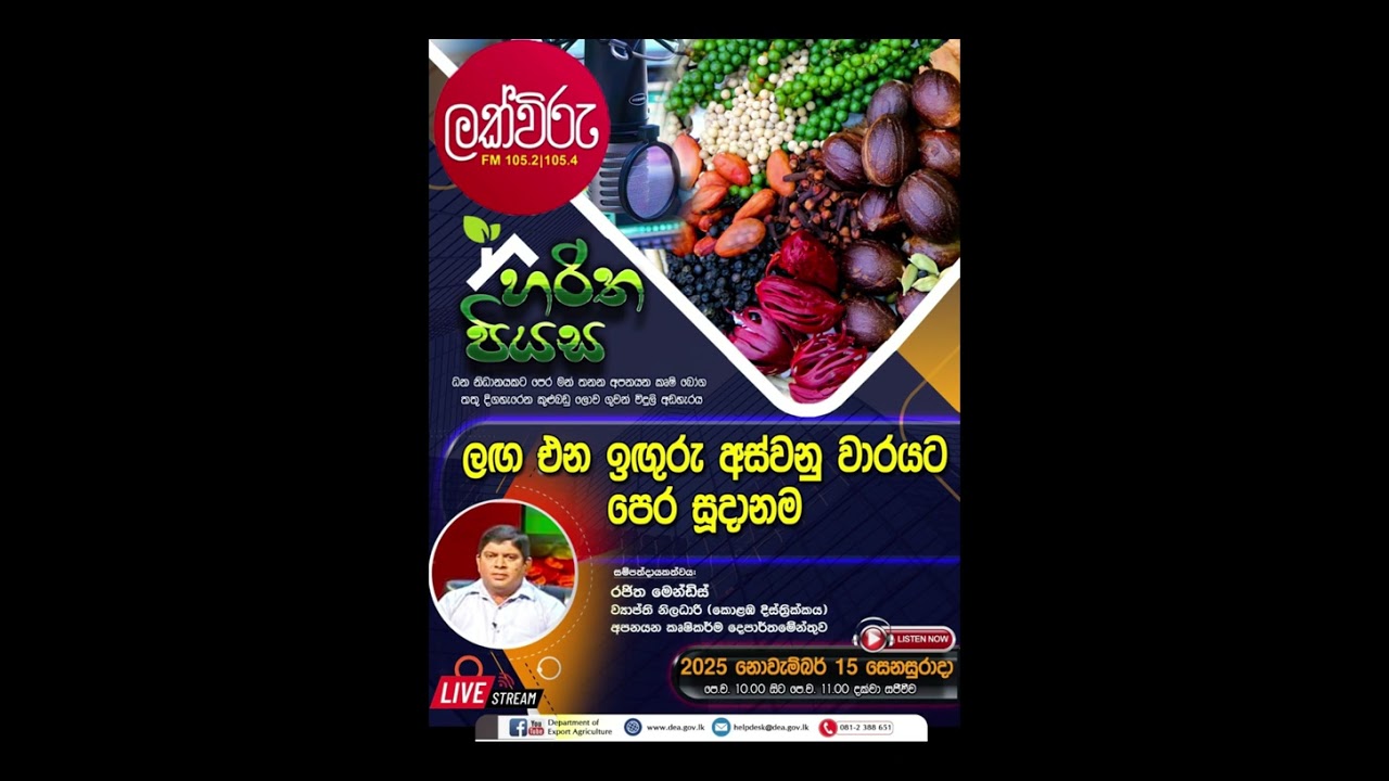 හරිත පියස - ලග එන ඉඟුරු අස්වනු වාරයට පෙර සුදානම