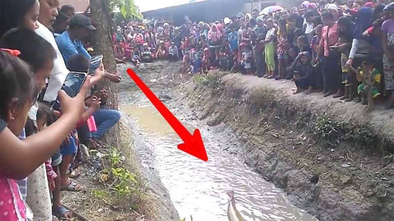 ক্যামেরায় ধরা না পড়লে আপনি কখোনোই বিশ্বাস করতেন না এই ঘটনা গুলো ! You wont believe