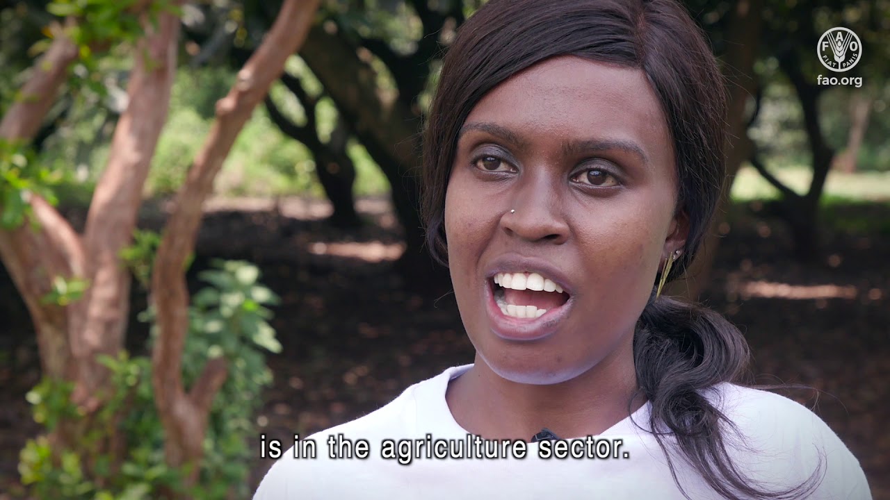 Agribusiness as a sustainable tool to mitigate rural-urban migration of youth in Kenya