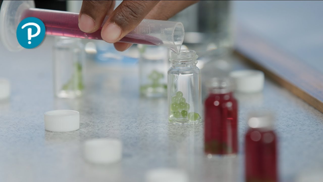 Pearson Edexcel (9-1) GCSE Combined Science & GCSE Biology core practical - light and photosynthesis