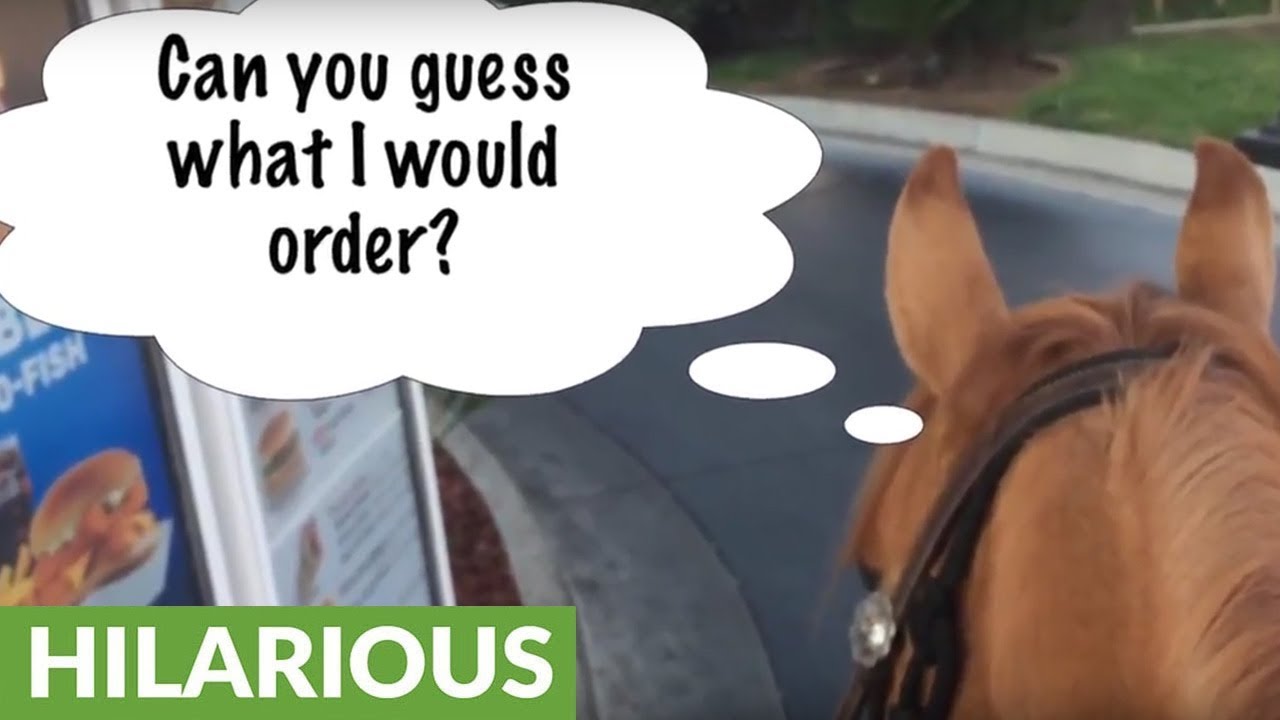 Woman rides on horse for McDonald's drive-thru