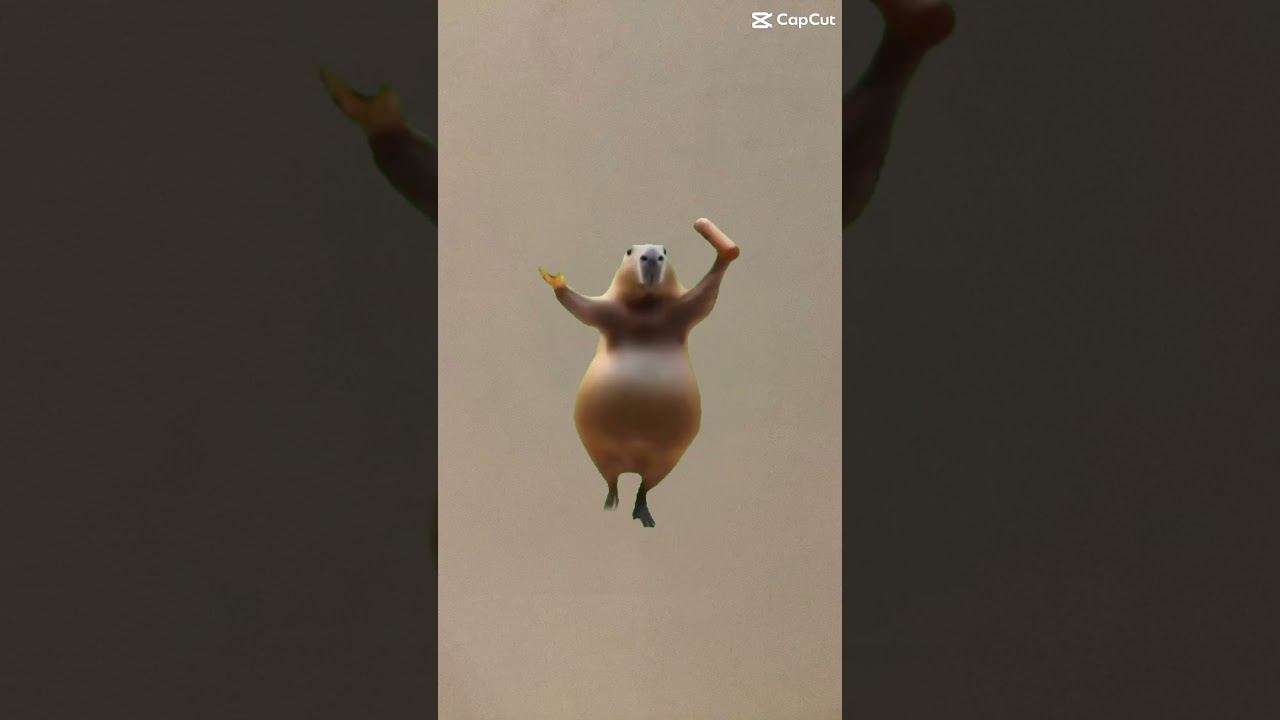 This Hamster Has More Energy Than Me 😭”
