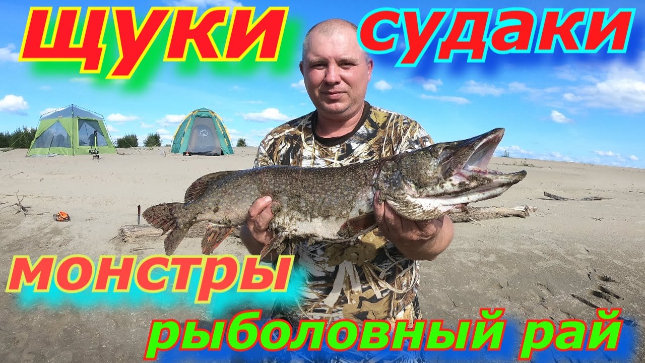 ЩУКИ И СУДАКИ МОНСТРЫ  УСТЬ ЧАЯ ИЛИ РЫБОЛОВНЫЙ РАЙ часть 2