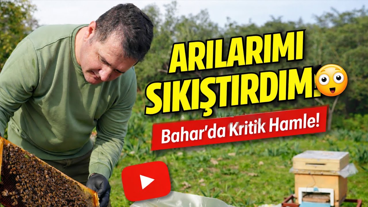 Bahar Geldi ve Arılarımı Sıkıştırdım! Fazla Çıtaları Neden Aldım?