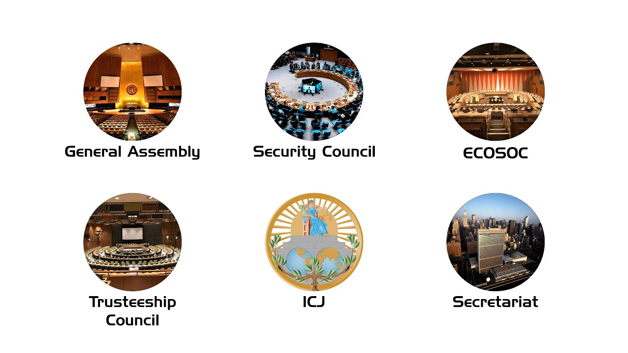 Every UN Branch Explained