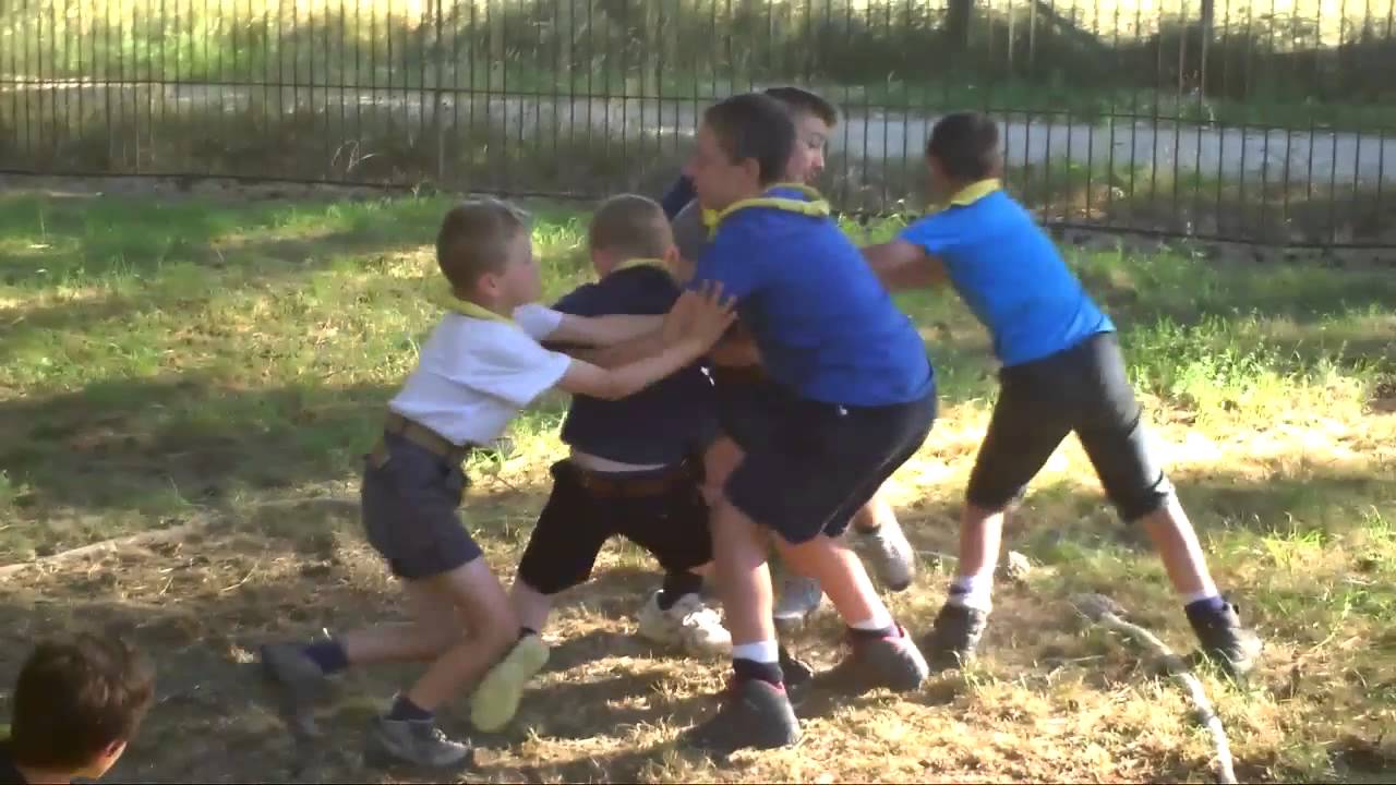 Camp 2015 Meute III° 3ème Nancy scouts