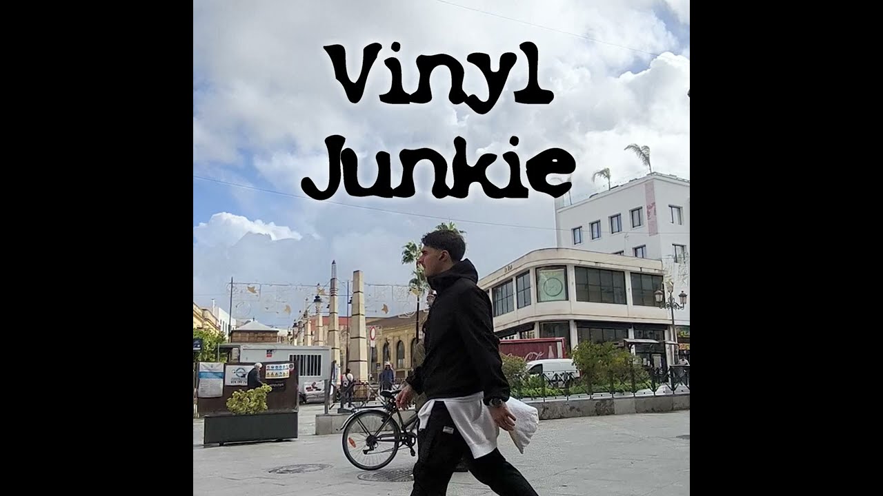 Vinyl Junkie