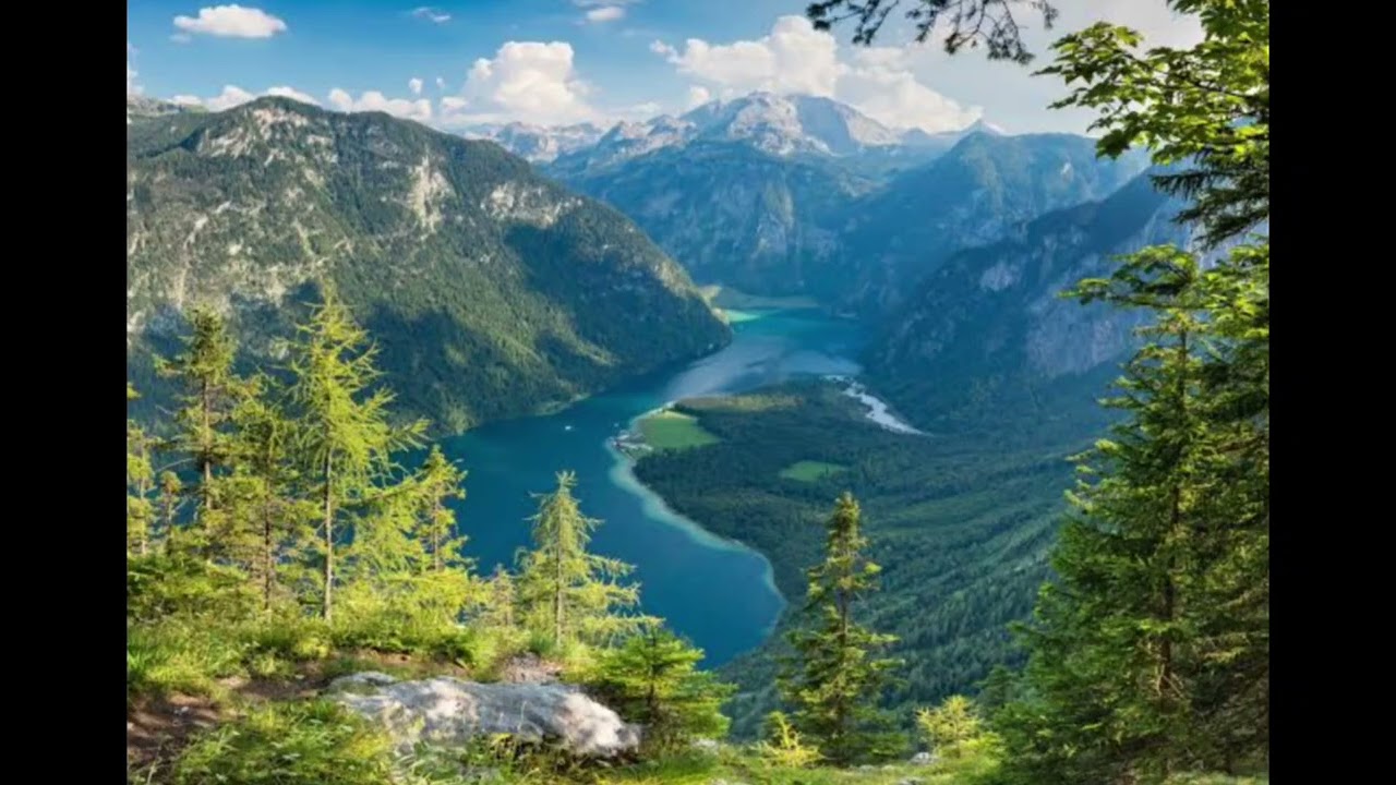 Video para sentirse en la naturaleza 💚